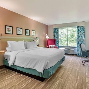 King Room Mobility accessible